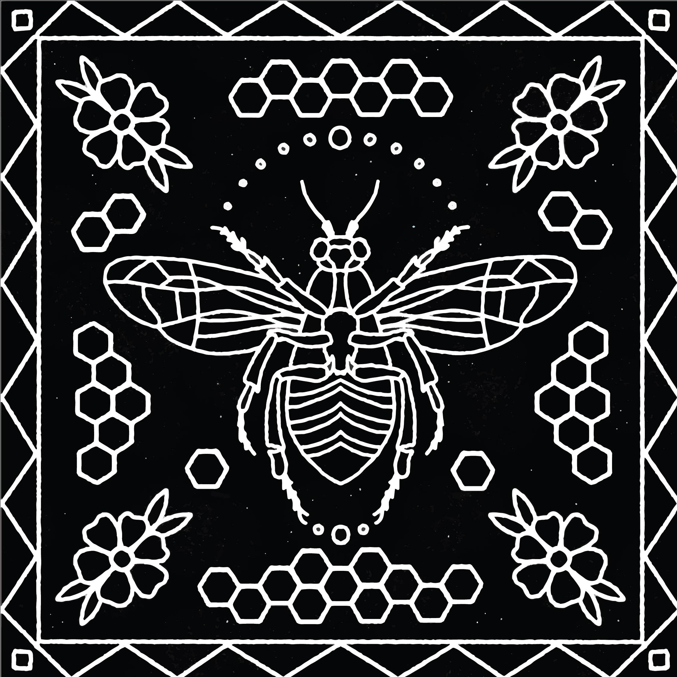 Laurel-Fisher-Graphic-Design-Illustration-Seattle-Nature-of-Symmetry-Bee