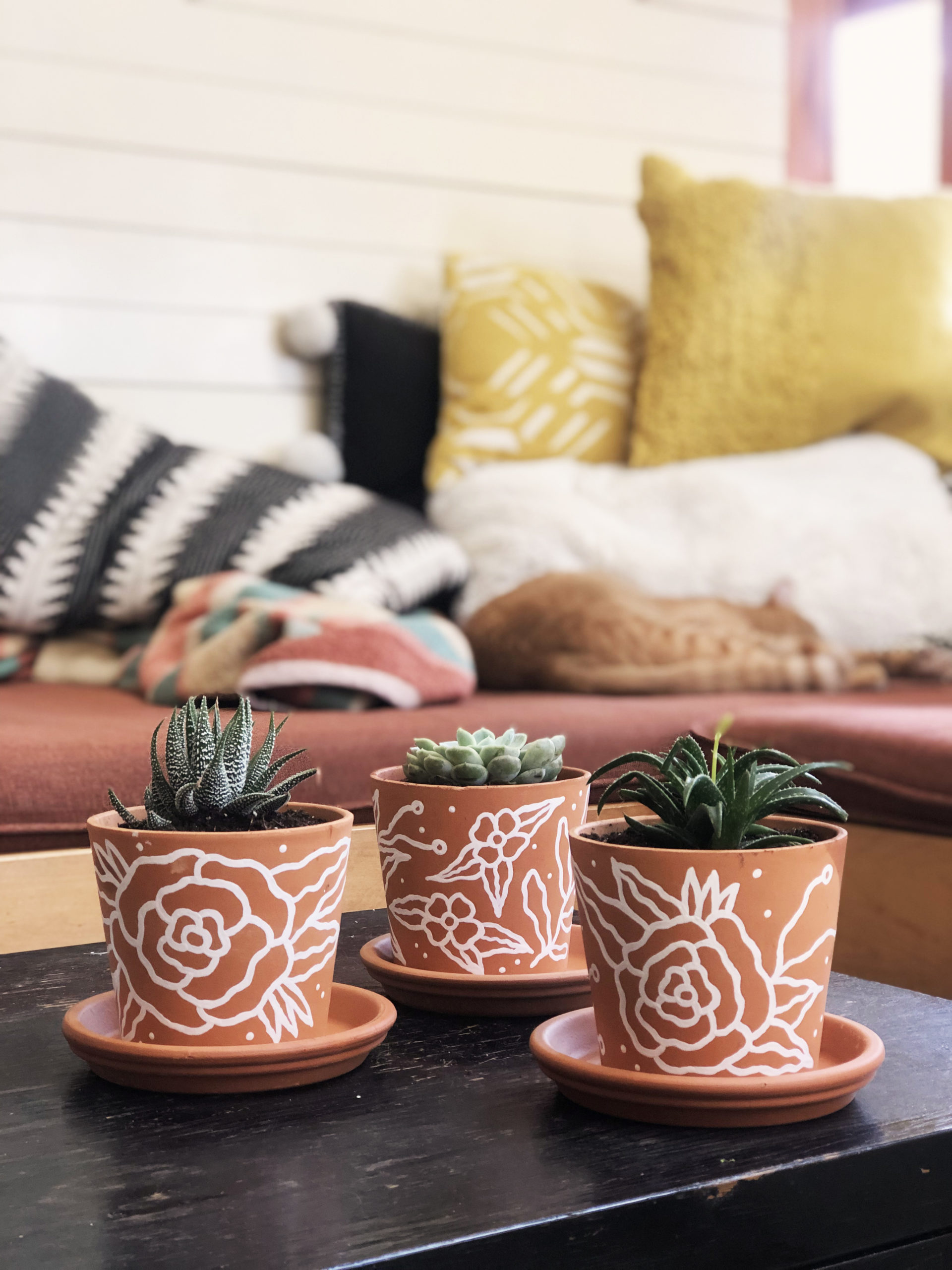 Laurel-Fisher-Graphic-Design-Illustrator-Seattle-Hand-Painted-Up-Cycled-Pots