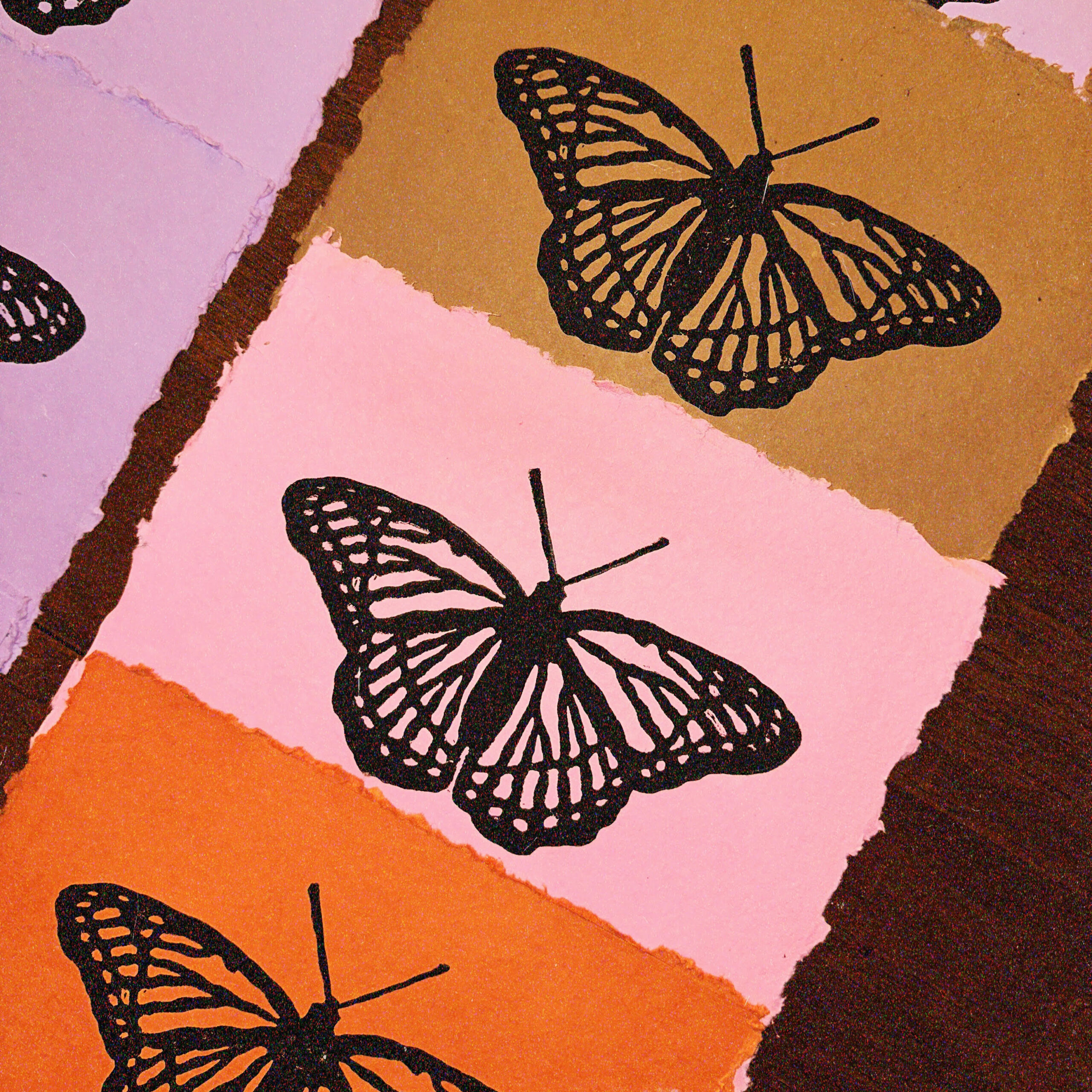 LaurelFisher_Tacoma_Artist_GraphicDesign_PrintMaking_Butterfly-1